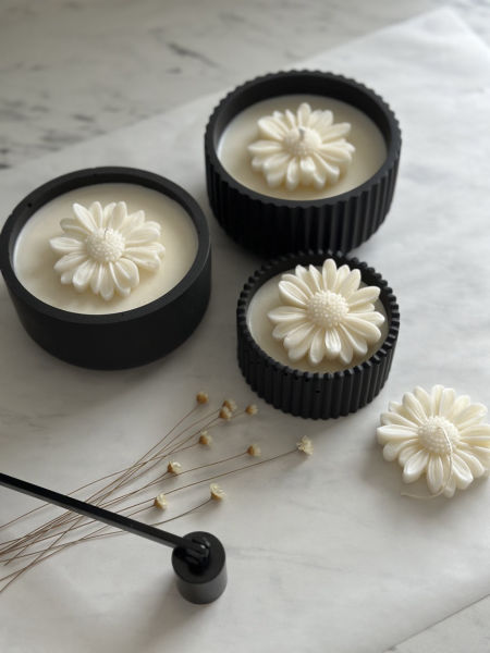 Black zestaw stokrotka